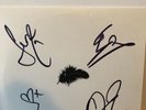 Kasabian - Days Are Forgotten (SIGNED 10” Vinyl Record)