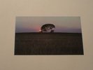 PAT METHENY - BRIGHT SIZE LIFE - DE 1976 - MINT - UNPLAYED - PROMO