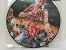 Cannibal Corpse Picture Disc