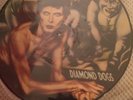 David Bowie - Diamond Dogs 12” Vinyl LP/Album - Rare Picture Disc Vinyl - New