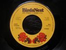 AGNES STRANGE - GIVE YOURSELF A CHANCE 1975 **RARE BIRDSNEST HARD GLAM KILLER**