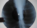The Beatles - All You Need Is Love X-RAY USSR ROENTGEN Bones Record