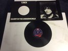 T.REX    /.    DANDY IN THE UNDERWORLD   /. VINYL L.P.