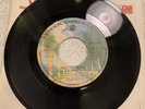 Sex Pistols Pretty Vacant Warner Bros. WBS8516 7” Canadian Press Punk 1977 Rare
