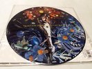 TEARS FOR FEARS (Oleta Adams) 'Woman In Chains' 12-Inch PICTURE DISC - W65