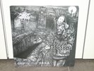 Darkthrone - F.O.A.D. LP Vinyl Satyricon Dimmu Borgir Watain