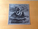 Michael Chapman. Fully Qualified Survivor. 1st. Press. Vinyl LP