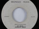 Reggae 45 HORACE ANDY Skylarking BONGO MAN HEAR