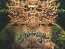 Shpongle Codex 6 Vinyl (limited, 3xLP, mint)