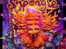 Shpongle - Museum Of Consciousness (2xLP, Album, Ltd, Len)
