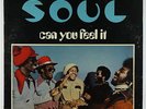 SOUL - Can You Feel It LP - Musicor