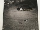 John Zorn - Naked City - 1990 Vinyl LP - 9 79238-1 - Torture Garden / Mr Bungle
