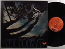 RARE BIRD Epic Forest POLYDOR LP VG++