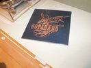 Gotthard - Firebirth 2 LP ORANGE VINYL LIMITED NB 2874-1-1 ***TOP***