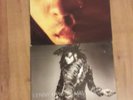2x Lenny Kravitz Vinyl Albums