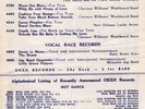 78 RPM -- Okeh Records - Race & Hillbilly - late catalog flyer - Jazz - Blues