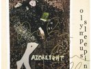 RAZORLIGHT Olympus Sleeping LP VINYL Europe Proper 2018 12 Track In Autographed