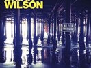 Brian Wilson - No Pier Pressure (180g Vinyl 2LP) NEW