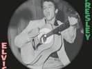 Elvis Presley 1st RCA album - 180g import LP PICTURE DISC