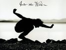 Eddie Vedder - Into The Wild 180g Vinyl LP NEW/SEALED Pearl Jam