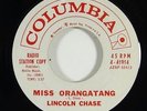 Lincoln Chase 