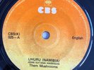THEM MUSHROOMS - Uhuru (Namibia) - RARE REGGAE ROOTS KENYA AFRICA 45