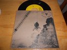 pearl jam vinyl 45 pic. sl.   merkinball      I got Id./long road