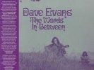 EVANS, Dave - The Words In Between - Vinyl (LP + postcard with obi-strip)