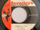GAYLADS - THERE'S A FIRE - BEVERLEY'S ( SKINHEAD 7 )