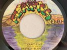 KWAYKO BLANDELLA - CAN'T LIVE - FLAMES ( DIGI 7 )