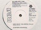 BLOOD HOLLINS 