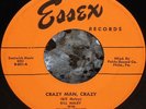 * * ROCKIN BILL HALEY & THE COMETS 