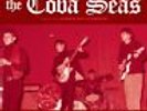 COBA SEAS & JAMES WILLIAMSON 'Unreformed LP NEW stooges iggy pop MC5 raw power
