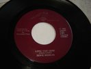 Dovie Modean: Long Time Gone / What You Want 45 Windi private rural David Crosby