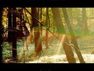 CHILDISH GAMBINO - CAMP NEW VINYL