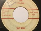 TEDDY REDELL Judy/Can't You See 45 Vaden rockabilly bopper hear