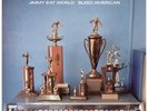 JIMMY EAT WORLD: BLEED AMERICAN (LP vinyl *BRAND NEW*)