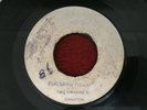ITALS/OH LORD WHY LORD & THE SOUL KING/HERBTET SPLIFNTON BOSS REGGAE45 BLANK