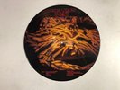THE JESUS LIZARD Goat LP Touch And Go T&GLP#68 US 1991 VG+ PICTURE DISC Punk 13G
