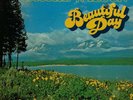 NORTHERN SOUL  - JACKIE WILSON - BEAUTIFUL DAY LP - BRUNSWICK -  *HEAR*