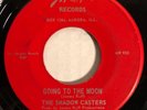 60s Garage punk 45 The shadow casters going to the moon / too late JRP