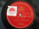 12” RED PRE DOG – CELESTINA BONINSEGNA