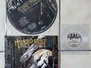 Terrorizer hordes of zombie Vinyl Picture