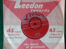 JOHNNY REBB 45 ROCK ON - PATHWAY TO PARADISE - LEEDON LS- 558 - RARE .