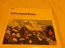 THE BRIAN JONESTOWN MASSACRE 'THEIR SATANIC MAJESTIES 2ND REQUEST' LP like new