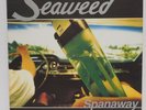 SPANAWAY - Seaweed Rare Promo Hollywood Records Vinyl LP Record