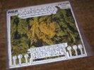 jefferson airplane mexico 45 rpm single black vinyl record