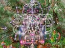 Spidergawd - V (180 Gr./Black Vinyl+CD) Vinyl LP (2) CRISPIN GLOVER RECORDS NEW