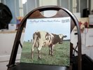 Pink Floyd Atom Heart Mother 1970 LP FACTORY SEALED SHRINK TRUE FIRST PRESSING