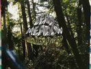 DEAD MEADOW OLD GROWTH Orig US 2 LP NM/NM    